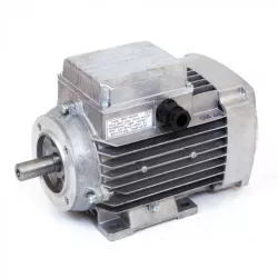 Electric motor for milking machine AID-1, 750 W, 3000 rpm.