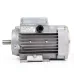 Electric motor for milking machine AID-1, 750 W, 3000 rpm.