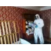 Аэрозольный генератор холодного тумана, дымовая пушка BURE SM  (Корея)